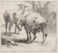 KG 04464
<br/>
Plassend schaap
<br/>
<em>Berchem, Nicolaes (1621/2-1683)</em>
